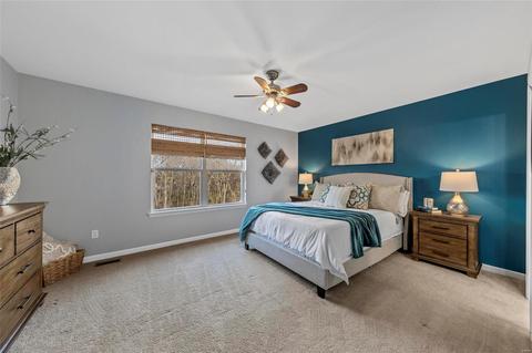 113 Winterset, O'fallon, MO 63366 photo 18
