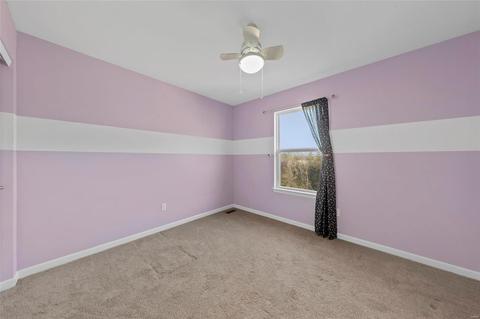 113 Winterset, O'fallon, MO 63366 photo 28