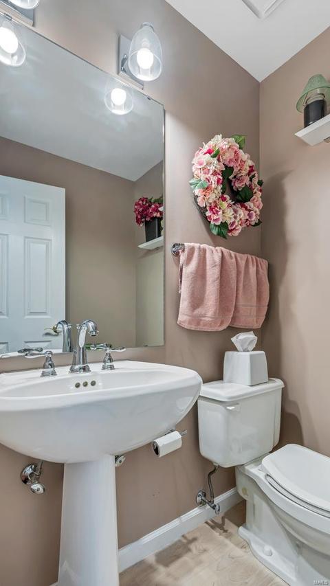 316 Dover Way, Ellisville, MO 63021 photo 14