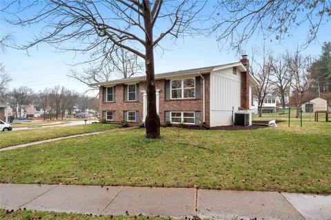 19 Timberleigh Ct, Manchester, MO 63021 photo 24