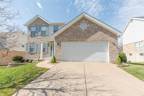 419 Clayheath Ct, Ballwin, MO 63011 photo 34