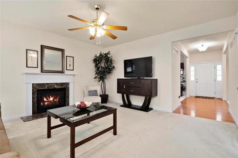 223 Roxbury Dr, O'fallon, MO 63366 photo 9