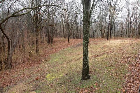 1318 Saint Paul, Wildwood, MO 63021 photo 45