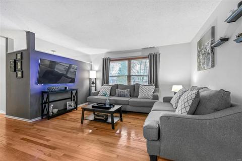 1027 Villaview Dr, Manchester, MO 63021 photo 7