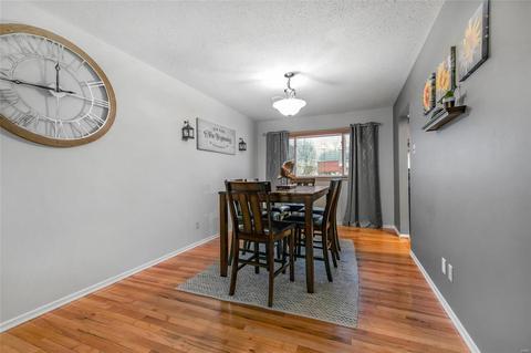 1027 Villaview Dr, Manchester, MO 63021 photo 9