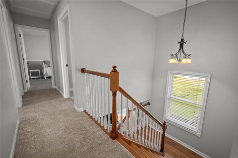 7309 The Cedars, O'fallon, MO 63368 photo 21
