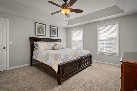 7309 The Cedars, O'fallon, MO 63368 photo 22