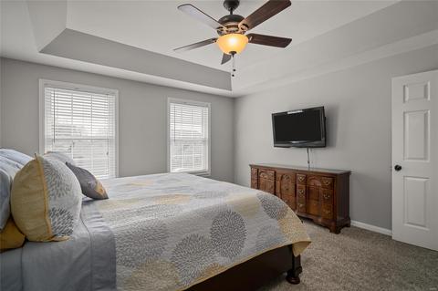 7309 The Cedars, O'fallon, MO 63368 photo 23