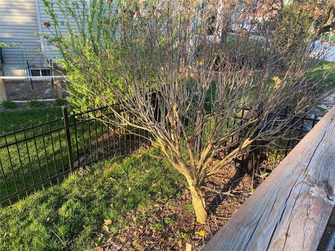 2815 Sparrow, O'fallon, MO 63368 photo 5
