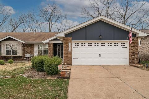 1036 Ridgeway Meadow Dr, Ellisville, MO 63021 photo 1
