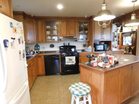 4205 County Road 486, Birch Tree, MO 65643 photo 4
