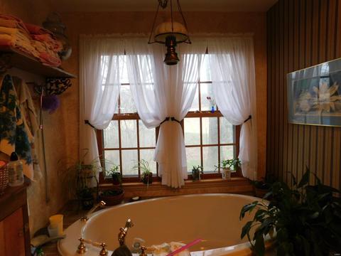 4205 County Road 486, Birch Tree, MO 65643 photo 8