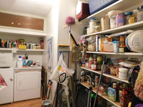 4205 County Road 486, Birch Tree, MO 65643 photo 6