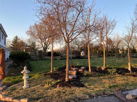 248 Dietrich, Ballwin, MO 63021 photo 11