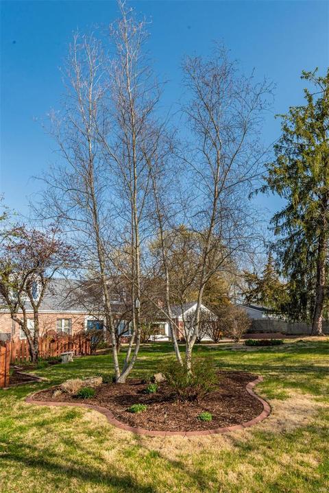 8951 Pardee Rd, Saint Louis, MO 63123 photo 50