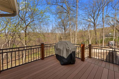 353 Lewis Bluff Cir, Eureka, MO 63025 photo 32
