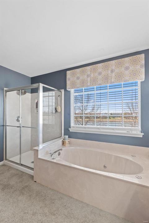 736 Hawk Run, O'fallon, MO 63368 photo 46