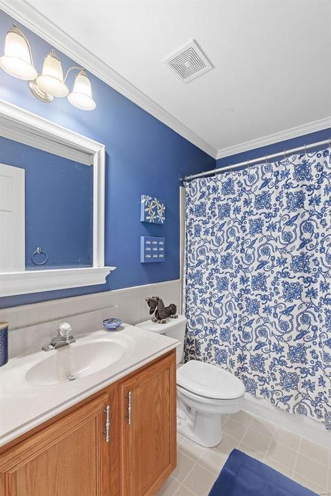 736 Hawk Run, O'fallon, MO 63368 photo 53
