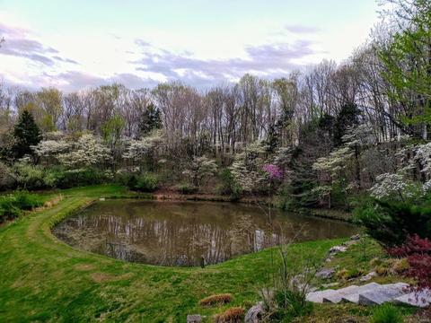 19312 Deer Pointe Estates Dr, Glencoe, MO 63038 photo 57