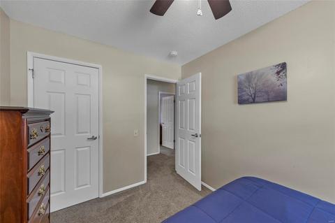 2 Hassam Ct, Manchester, MO 63021 photo 16