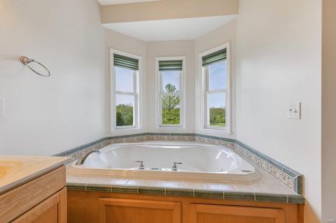 2437 Goldfinch Dr, O'fallon, MO 63366 photo 28