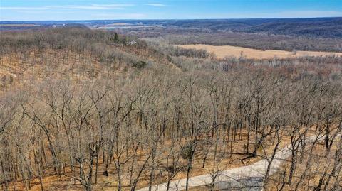 820 Forest Circle Trl, Ballwin, MO 63021 photo 3