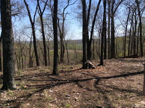 820 Forest Circle Trl, Ballwin, MO 63021 photo 12