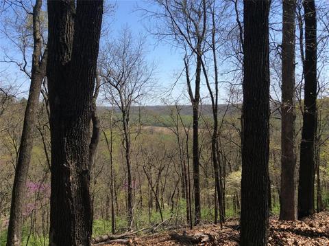 820 Forest Circle Trl, Ballwin, MO 63021 photo 13