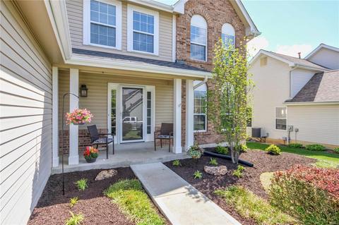 719 Falcon Hill Trl, O'fallon, MO 63368 photo 5