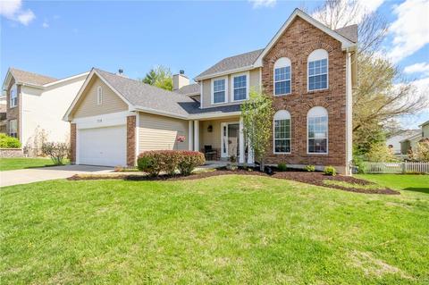 719 Falcon Hill Trl, O'fallon, MO 63368 photo 3