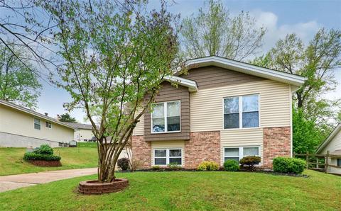1013 Hollybend, Ballwin, MO 63021 photo 5
