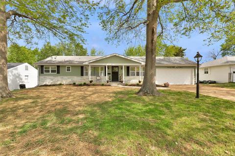 7437 Dalgren Dr, Saint Louis, MO 63123 photo 31