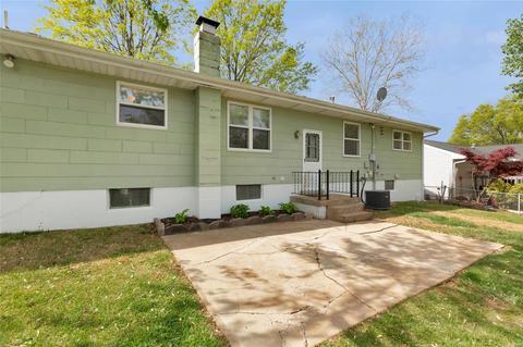 7437 Dalgren Dr, Saint Louis, MO 63123 photo 28