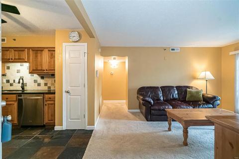 921 Hanna Place Ct #E, Manchester, MO 63021 photo 7