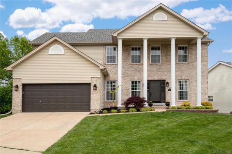 427 Dovedale Dr, O'fallon, MO 63366 photo 1