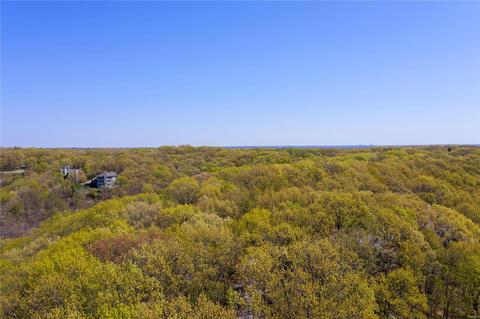 1537 Wolf Trail Rd, Wildwood, MO 63021 photo 28