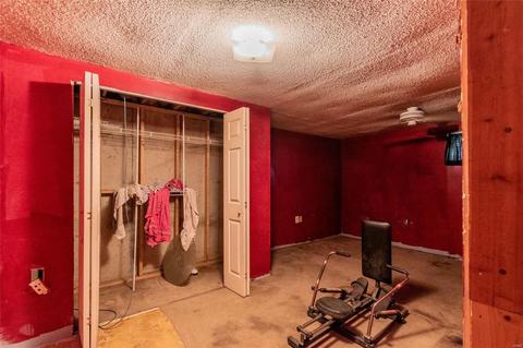 1338 White Hawk Dr, O'fallon, MO 63366 photo 20