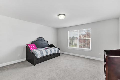 210 Irish Hound Dr, O'fallon, MO 63368 photo 34