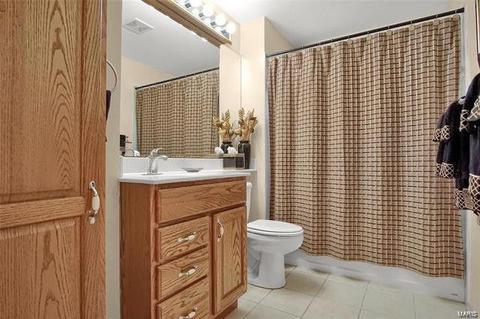 805 La Feil Dr, Manchester, MO 63021 photo 23
