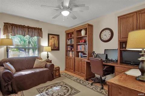 805 La Feil Dr, Manchester, MO 63021 photo 20