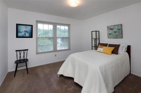 5 Albemarle Ct, O'fallon, MO 63368 photo 17