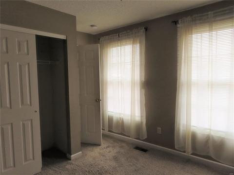 6912 Cog Mill Dr, O'fallon, MO 63368 photo 21