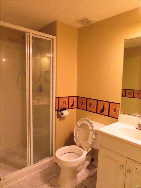 6912 Cog Mill Dr, O'fallon, MO 63368 photo 25