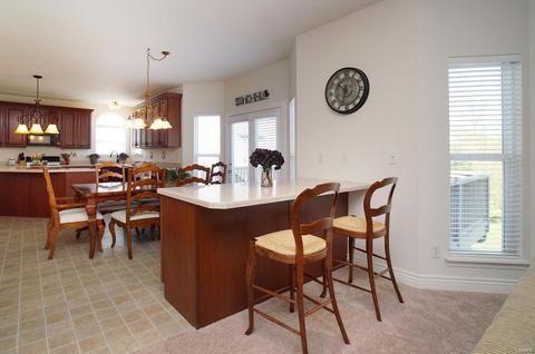 376 Carr Manor Ct, Ballwin, MO 63021 photo 15