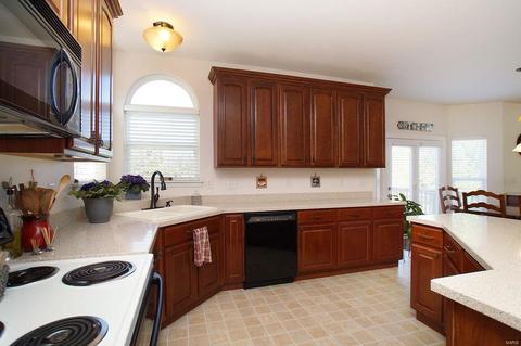 376 Carr Manor Ct, Ballwin, MO 63021 photo 20