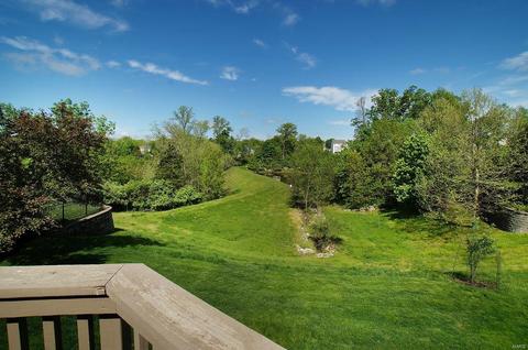 376 Carr Manor Ct, Ballwin, MO 63021 photo 35