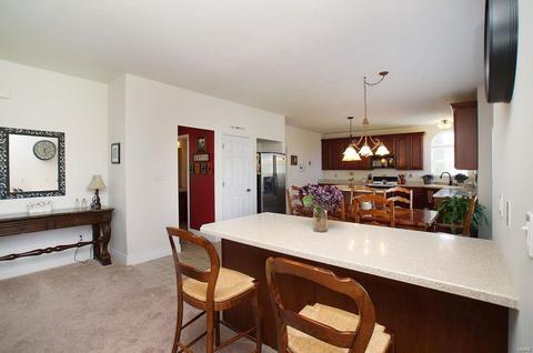 376 Carr Manor Ct, Ballwin, MO 63021 photo 13