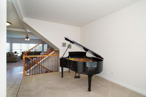 376 Carr Manor Ct, Ballwin, MO 63021 photo 8