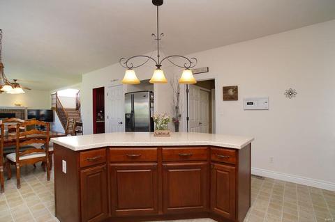 376 Carr Manor Ct, Ballwin, MO 63021 photo 21