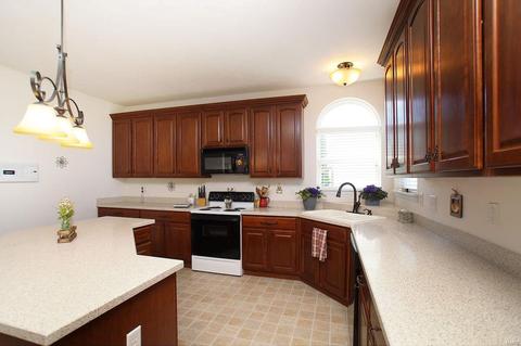 376 Carr Manor Ct, Ballwin, MO 63021 photo 18